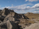 P8135275.jpg