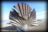 Shell Sculpture
