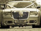 Beautiful Bridle Bentley