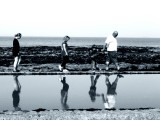 Coastal Walk