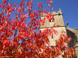 Cherhill Church Cherry