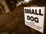 An Awfully English Warning!