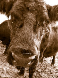 DSCF3529.jpg