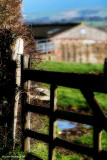 Field Gate 2