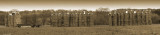 Art or Haystack? (best viewed at original)