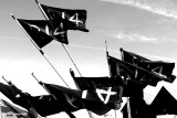 R14 Flags