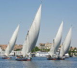 Four Falluccas.jpg