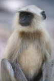PICT0057.JPG