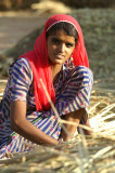 PICT0185.JPG