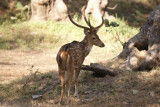 DSC01312.JPG