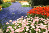DSC00946.JPG