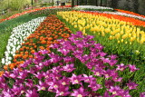 DSC00891.JPG