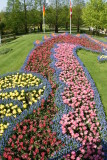 DSC00902.JPG