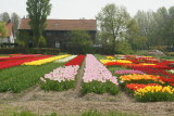 DSC00931.JPG