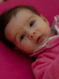 LF5A8945.jpg