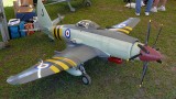 Westland Wyvern S4 <!-- P1050690_model_web.jpg -->