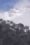 Himalaya near Se La Pass