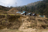 Lama Camp