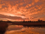 Mendon Ponds Sunrise