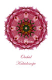 20 - Pink Orchid Kaleidoscope Card