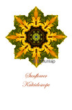 56 - Sunflower Kaleidoscope Card