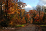 Lake Superior South Shore Road