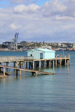 Stanley Point, North Shore, AUCKLAND