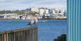 Stanley Point North Shore, AUCKLAND