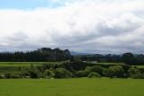 Kiwi countrywide. 2.