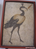 Napels, museum - paradijsvogel