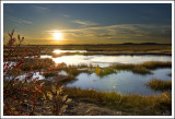 Plum Island Ma Dec 08.jpg