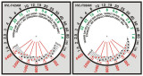 Flash F42AM F58AM V3.jpg