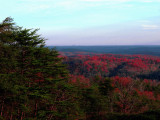 Greenvlle in the distance from atop the bald - close to sunset