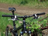 2008_0503009.JPG