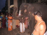 .... doing Thiru-samarak kainkaryam