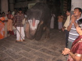 ... and before the Lord of ubhayavibhuti - SrI Emperumanar