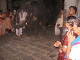 The temple elephant respectfully prostrating before the Lord Emperuman ...