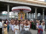 Aalavandar Thirunakshatram - Parthasarathi during purappadu.JPG