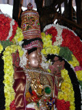 SRI SARANATHAP PERUMAL AND THAYAR IN THIRUTHEAR