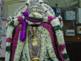 Maamunigal with Thirupariyatta Mariyadhai after Saatrumurai.JPG