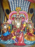 Ragavan Ready for Sesha Vahanam Purappadu_3.jpg