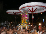 Panguni Uttram  Sri Ranganathar in kannAdi Garudan-4.JPG