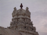 021-Day02-Thiruvengadathappan Vimanam with its exquisite sculptures.jpg