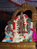 14-Parthasarathi close up.JPG