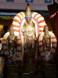 05 pArthasarathi in punnyakOti vimAnam.JPG