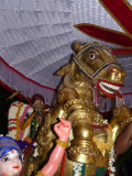 16 Parthasarathi in kudirai vahanam.JPG