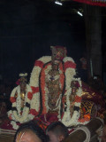 Sri Perarulalan_Thiruther uthsavam2.jpg