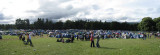 Aug 08 Belladrum music festival campsite