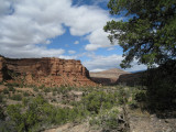 2009 April Dominguez canyon CO