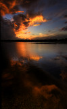 Sunset over Lake Sybelia, Maitland, Florida